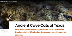 Ancient Cave Cats of Texas